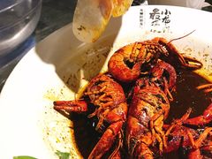 -龙巢盱眙龙虾·牛蛙·烧烤宵夜(八卦岭店)