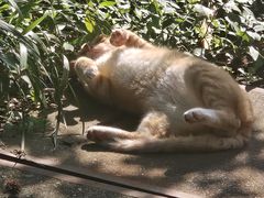 -普陀山雷迪森庄园