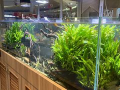 -池云涧自然椰子鸡(万泰汇店)