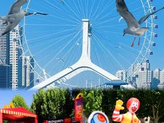 -海河游船-永乐码头(大悲院)