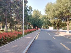 -吉林大学(南岭校区)
