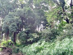 -小洲村