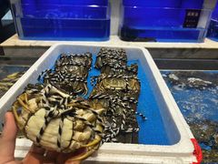 -箸福·夜上海(雨花客厅店)