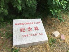 -北京鹫峰国家森林公园
