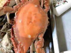 -宾朋海鲜美食餐厅·特色美食(兴海路店)