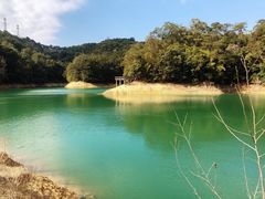 -广州市流溪河国家森林公园