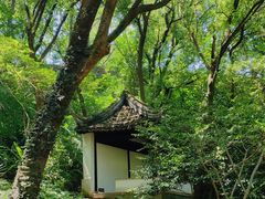 -虞山风景区