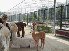 -北京麋鹿生态实验中心