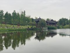 -眉山湿地公园(东坡区)