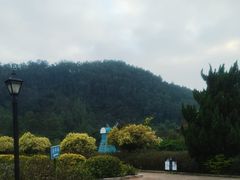 -南沙蒲洲花园