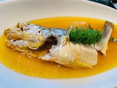 鸡油蒸半野生黄鱼-玫瑰厅上海菜(兴国路店)