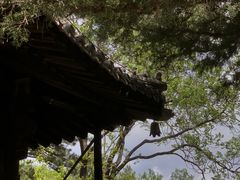 -大觉寺-停车场
