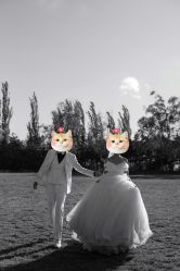 -CD视觉婚纱摄影