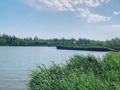 -西青郊野公园