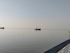 -贡湖湾湿地公园