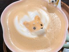 -逗柴咖啡屋·狗咖猫咖宠物桌游