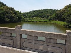 -李小龙乐园(顺德均安店)