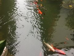 -书香府邸·平江府
