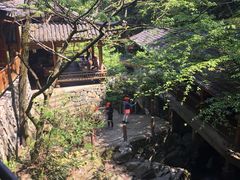 -藏龙百瀑风景区