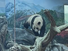 -武汉动物园