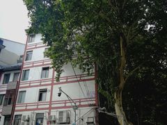 -泸溪河桃酥(秦淮夫子庙一店)