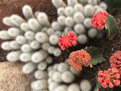 -南通洲际绿博园