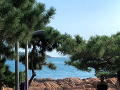 -小麦岛公园