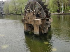 -黑龙江省森林植物园