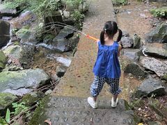 -藏龙百瀑风景区