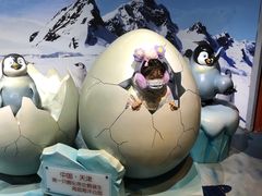 -海合安天津极地海洋公园