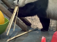 -栾川竹海野生动物园