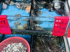 -鑫鸿达·海鲜闽菜热炒小馆(中山路店)