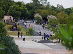 -吴淞炮台湾湿地森林公园烧烤区