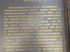 -段氏奇香花生米(长嘉汇店)