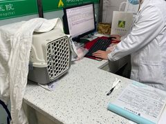 -半岛宠物医院24小时(科华中路店)