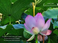 -四川大学(华西校区)