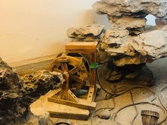 -白兔子密室(长寿路店)