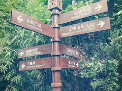 -铁山坪森林公园