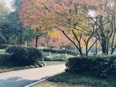 -杭州城北体育公园