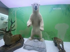 -国家自然博物馆