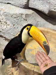 -Zoolung Zoolung动物主题公园(海信广场店)