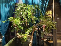 -食欲老院子荆芥疙瘩汤(经五路店)