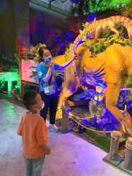 -恐龙探索乐园(磁器口店)