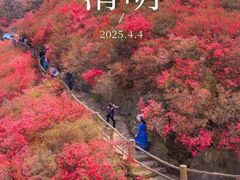 -木兰云雾山