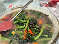 上汤苋菜-双井轩(双井店)
