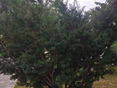 -丹东天桥沟景区