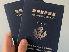 -申普宠物医院·心脏介入·心血管微创(总院)