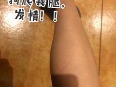 -more than meow吴止猫主题餐厅(承德 中船汇店)