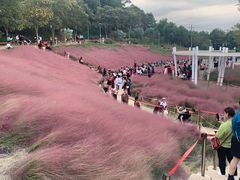 -牛岗山公园