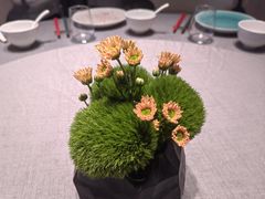 -南堂馆·新川菜(春熙路店)